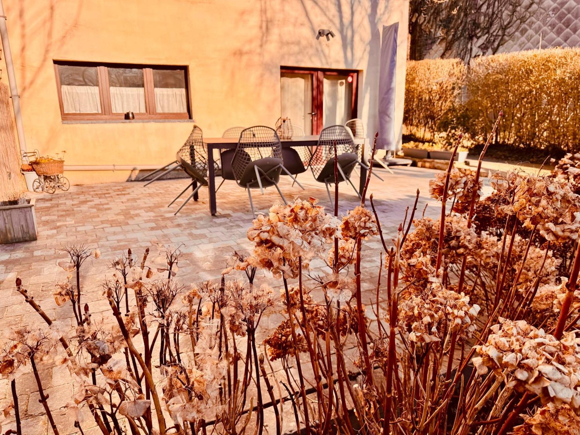 Oboho - Le Gite Boheme Esneux Exterior foto